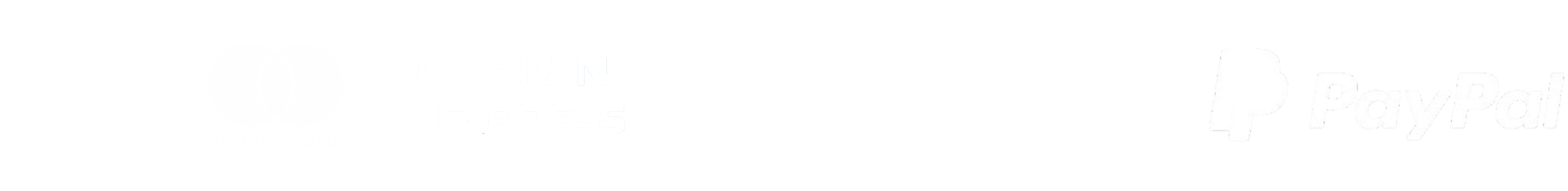 Métodos de pago: Visa, Mastercard, American Express, Apple Pay, Google Pay, PayPal